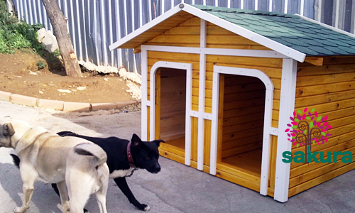 Ahşap Köpek Kulübesi 080
