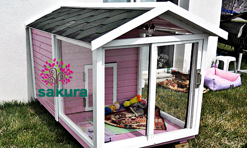 ahsap-kopek-kulubesi-090-2