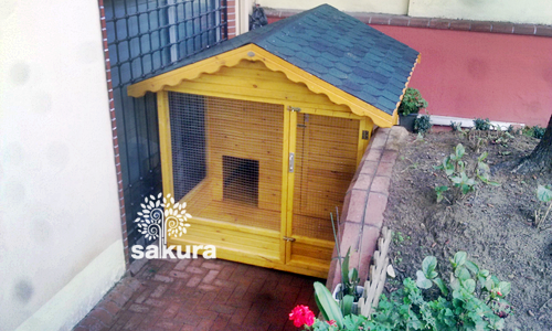 ahsap-kopek-kulubesi-modelleri-035