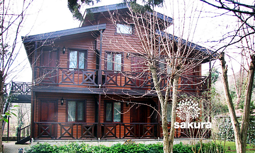 Ahşap Kütük Ev 020