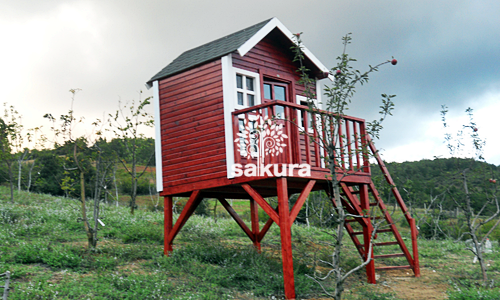 ahsap-oyun-evi-yayla-fiyati-2