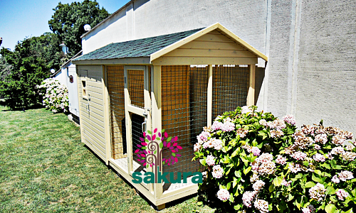 Bahçeli Köpek Kulübesi 100