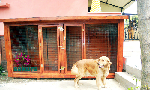 kopek-kulubesi-ikili-125-2