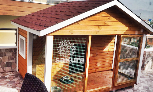 kopek-kulubesi-ikili-130