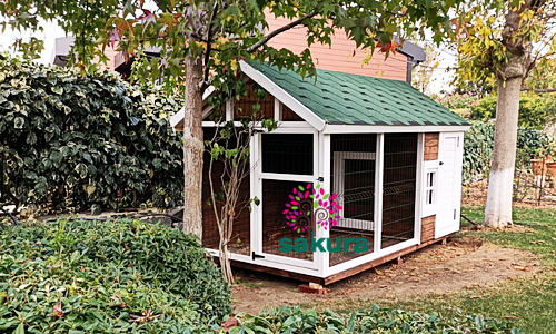 Ahşap Köpek Kulübe Modelleri-040